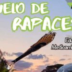vuelo de rapaces