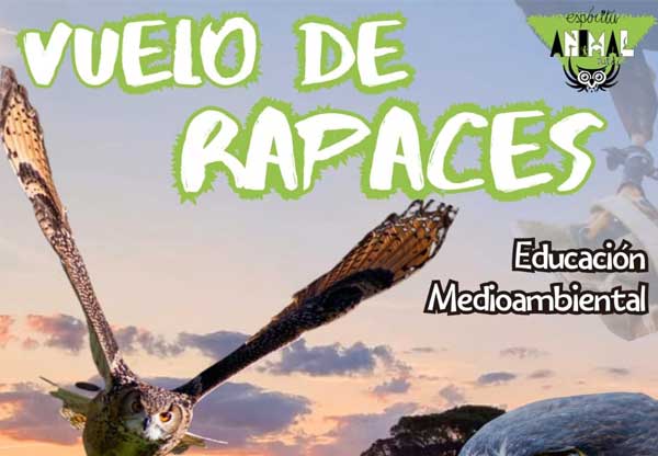 vuelo de rapaces